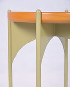 Moon Slice Turtle